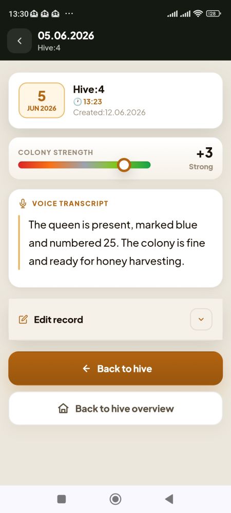 Voice recording and AI processing