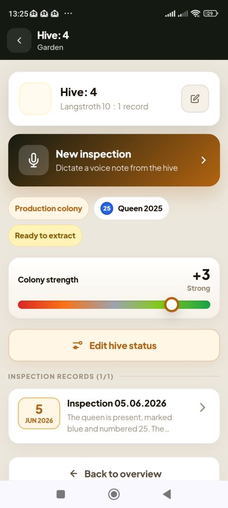 Voice recording and AI processing