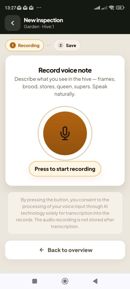 Voice recording and AI processing